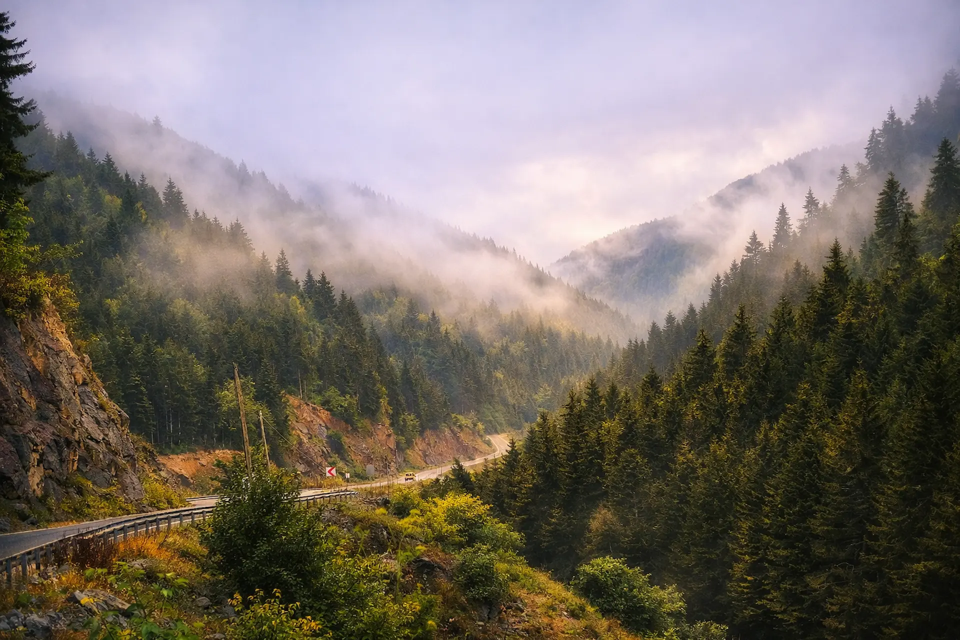 Fol Vadisi sisle daima yoldaş