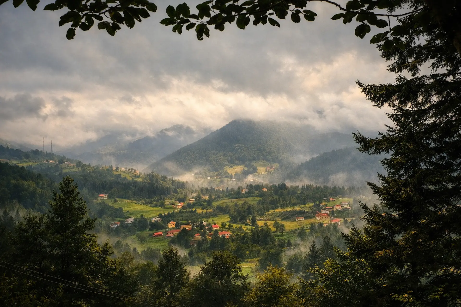 Çayıriçi genel görünüm