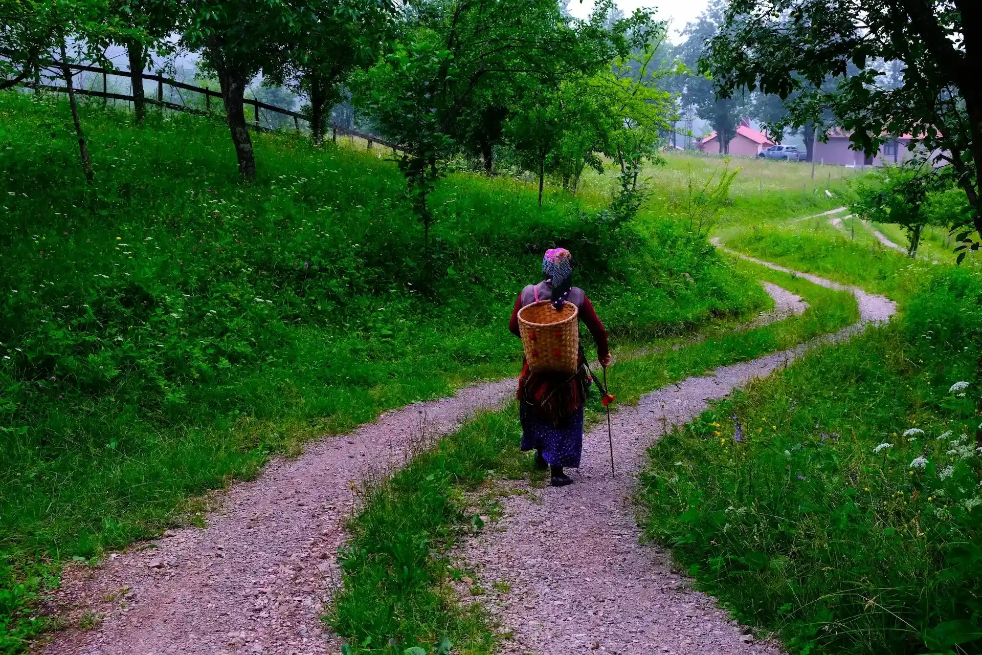 Karadeniz kadını ve sepeti