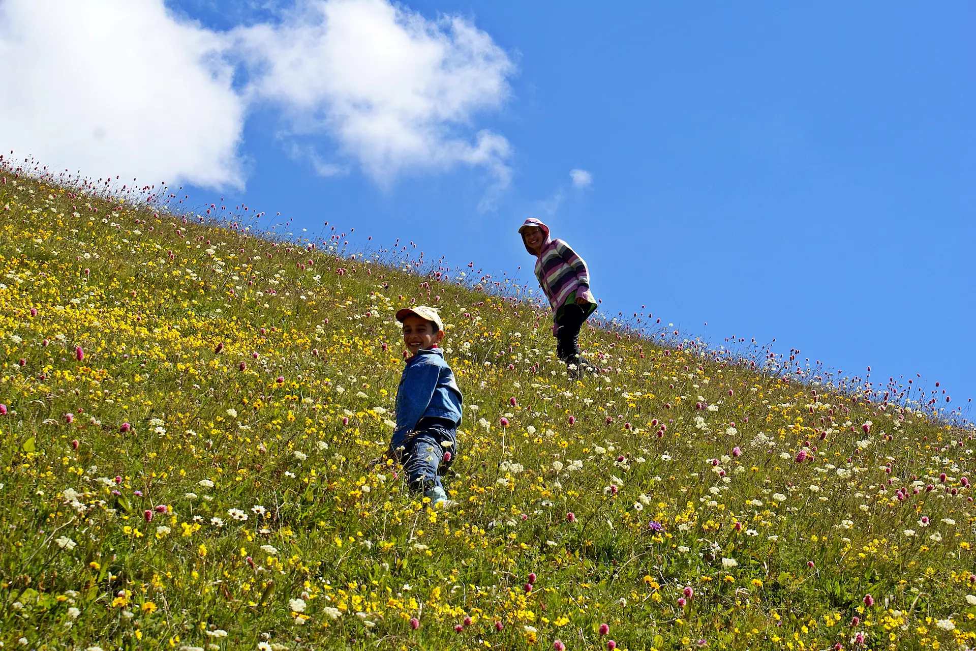 Kelebeklerin yaşaması için ideal ortam