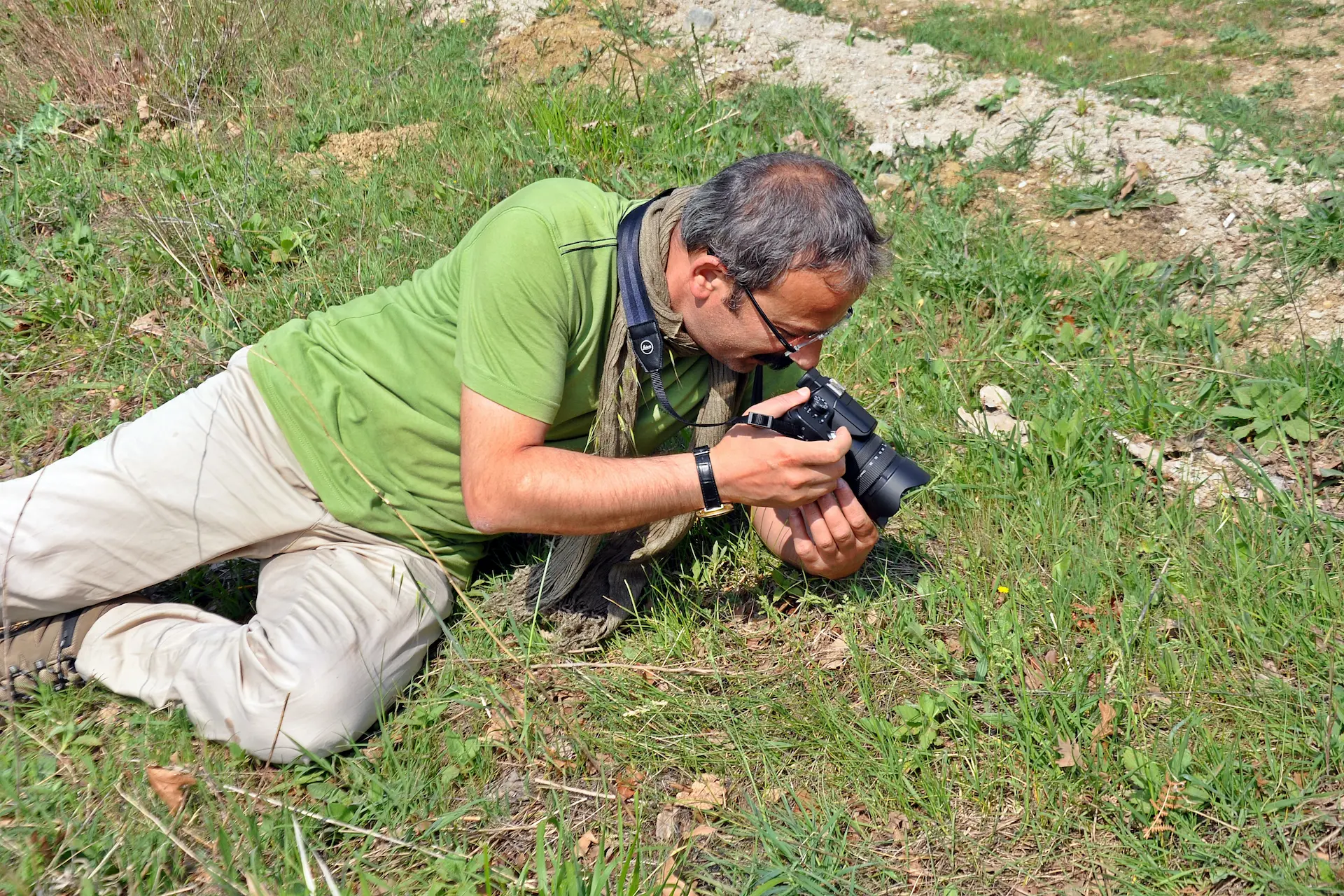 Kelebekleri fotoğraflamak