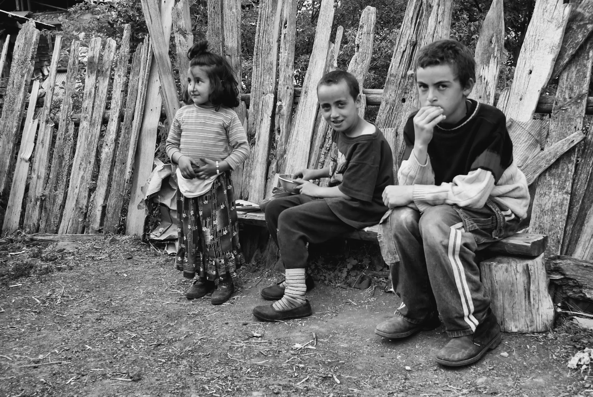 Yarışma Fotoğrafçılığı