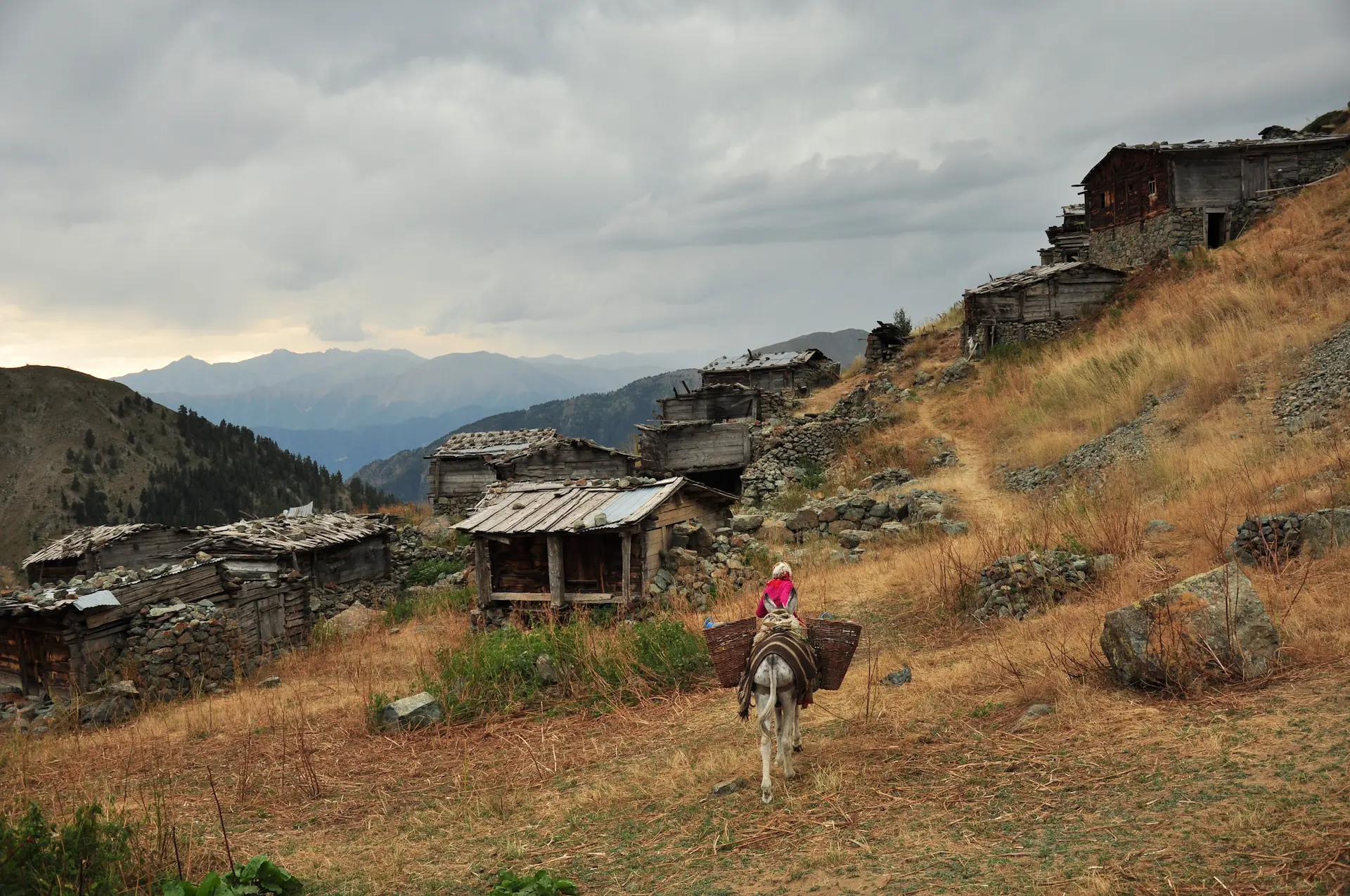 Fotoğraf Okuma No: 1